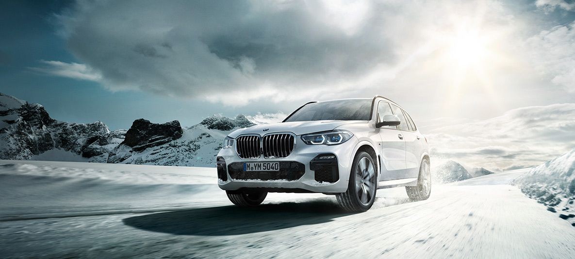 photo_in_container28427